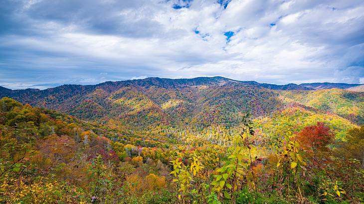 A vast mountain region enveloped in autumn colored foilage