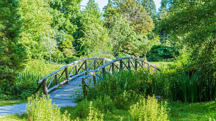 A pathway and a traditional wooden bridge surrounded by greenery