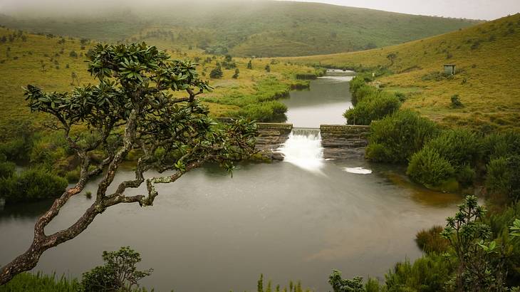 Water flowing into a lake in the middle of lush plains from above Water flowing into a lake in the middle of lush plains from above