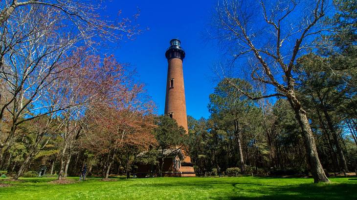 A tall lighthouse from below with lush green grass and brilliant blue sky around