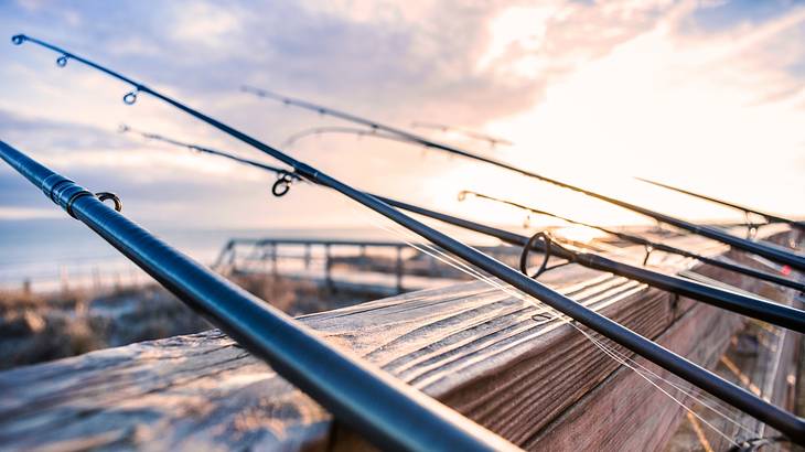 Close up of fishing rods on a wooden deck during a sunny day