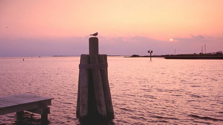 A bird sitting on a wooden structure over water at sunset
