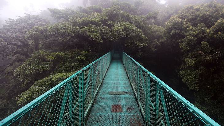 A cloudy rainforest at the end of a light green hanging bridge