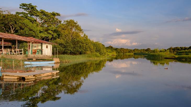 A simple house facing the river near a mangrove area