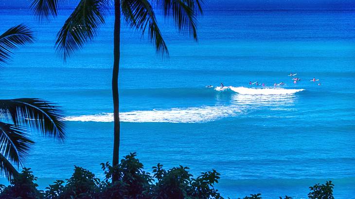 Palm trees silhouette against people surfing in a turquoise sea