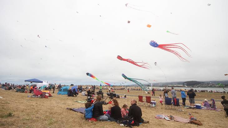 People sitting on the grass under a cloudy sky with colorful kites above
