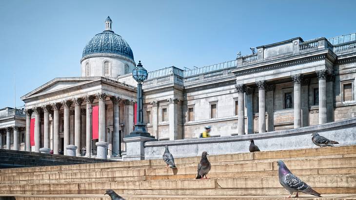 Front view of The National Gallery's exterior with pigeons on the stairs