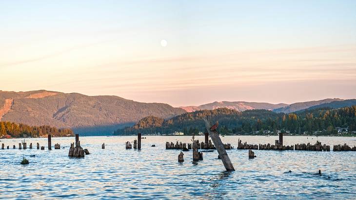 The sun setting over mountains and a lake with log pieces in it