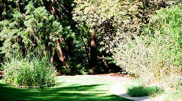 The very green Tilden Regional Park, one of the best parks in Berkeley, CA