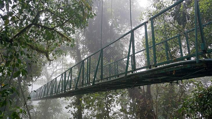 Monteverde Cloud Forest is a must on your Costa Rica bucket list