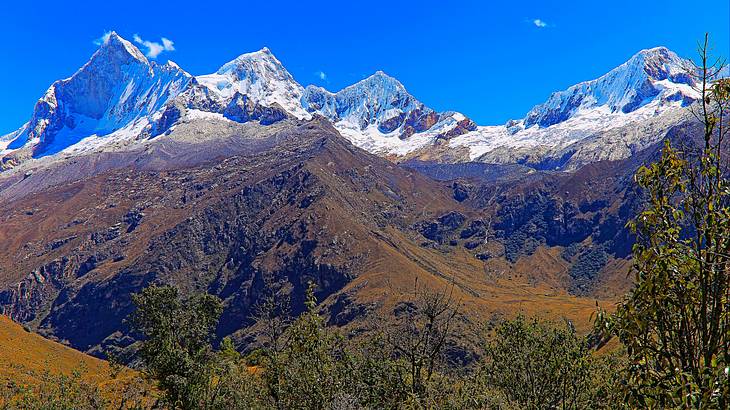 Snow-capped mountains with dry hills and trees in front Snow-capped mountains with dry hills and trees in front