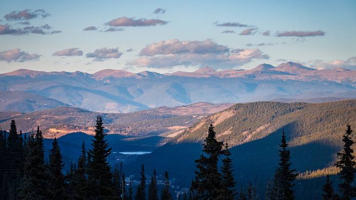 Rocky Mountain range silhouette with trees in the foreground