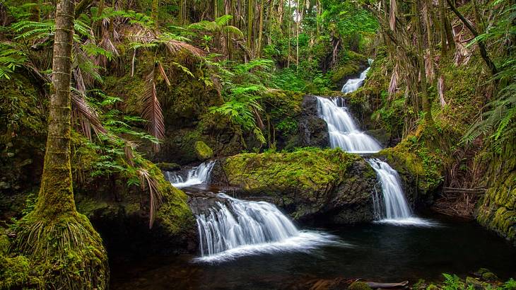 Two thin cascading waterfalls surrounded by lush green tropical vegetation Two thin cascading waterfalls surrounded by lush green tropical vegetation