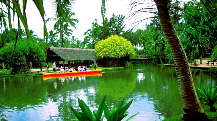 Tourists enjoying a canoe ride around a lagoon surrounded by tropical flora