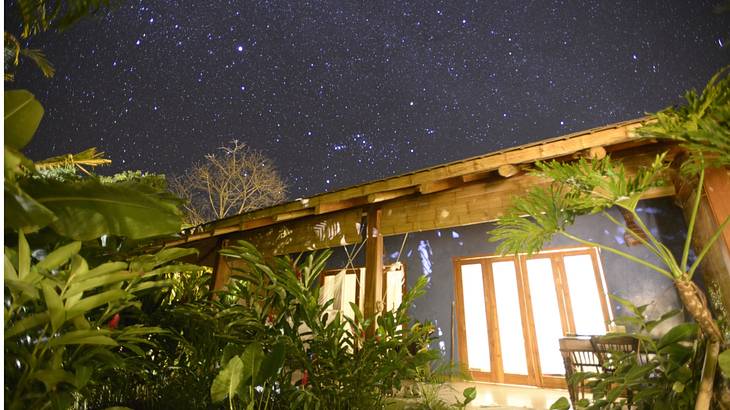 Lighted tropical house surrounded by trees and plants under a stunning starry night