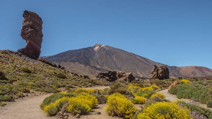 A barren mountain in the back with a rock statue on the left and shrubbery around