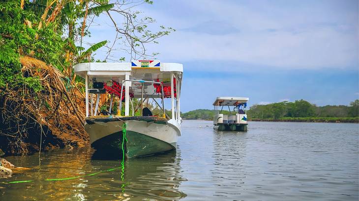 Tourist white boats parked on the side of a river, with greenery on the left