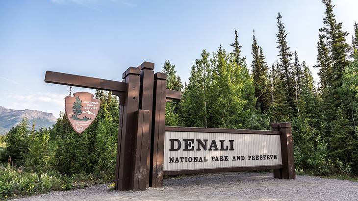 Denali park entrance sign in front of trees and a view of the mountain