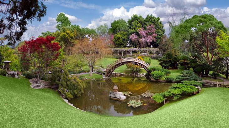 A pond with a small bridge, surrounded by a green lawn with plants and colorful trees