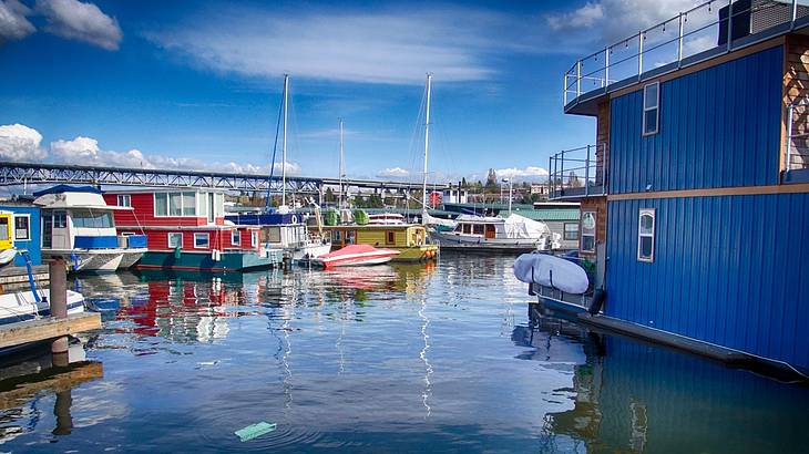 Colorful houseboats on water docked in a harbor on a bright sunny day