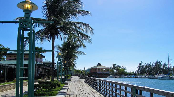 Wooden boardwalk with palm trees and street lamps running beside the water