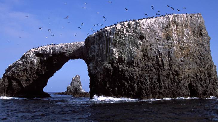 Sea waves crashing through an arched rock with birds flying on top