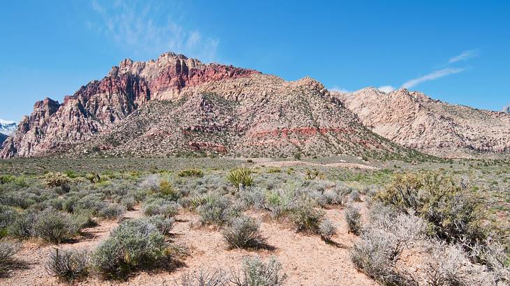 Red rock mountains in front of a blue sky, surrounded by desert and greenery