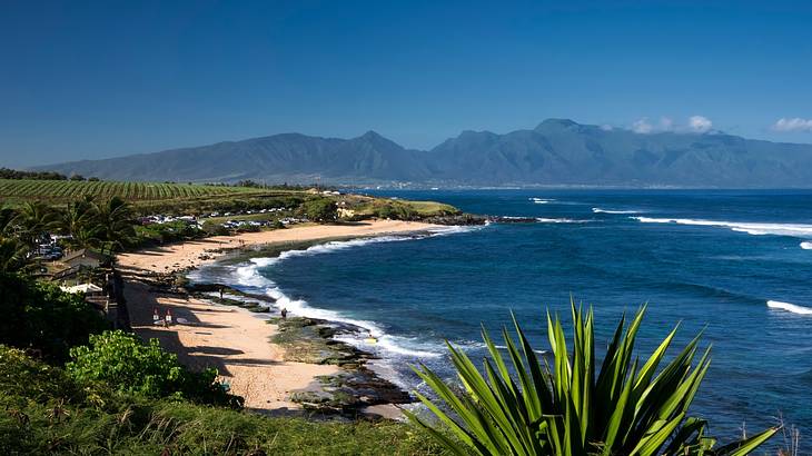 View of a sandy coastline with blue ocean surrounded by greenery and mountains