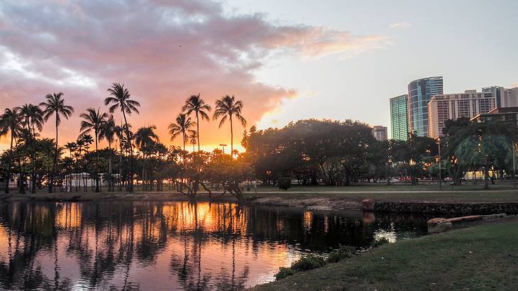 Palm trees, buildings, and a sunset reflected in a lagoon Palm trees, buildings, and a sunset reflected in a lagoon