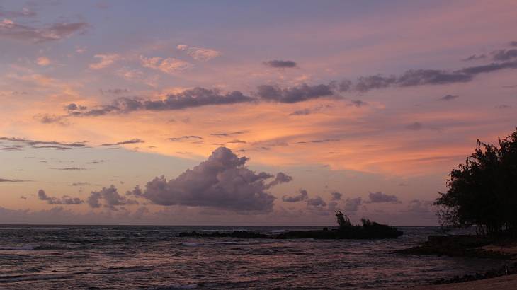 Clouds in a purple, blue, and pink sky over the ocean with a tree on the right