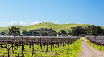Wine tasting is one of the fun things to do on the Central Coast of California