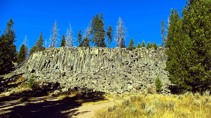 Cliffs made of volcanic rock with green trees and blue sky around