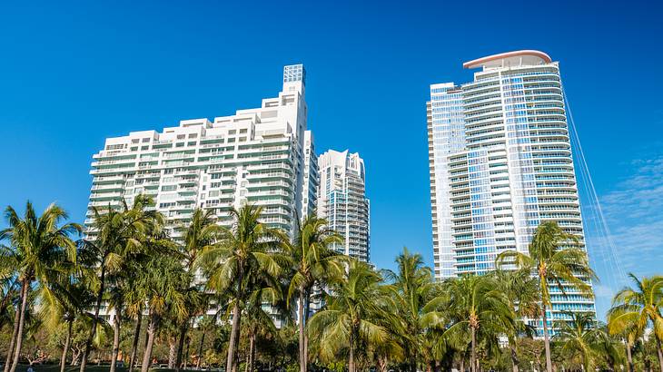 Luscious palm trees with modern and glittering skyscrapers in the background