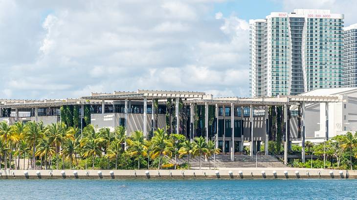 View of glass buildings with palm trees around and facing the water