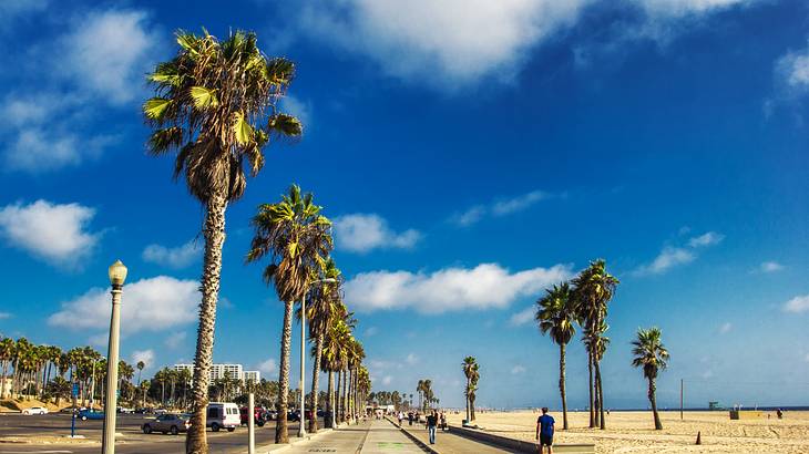 Palm trees line a boardwalk as people walk alongside a sandy beach under a blue sky