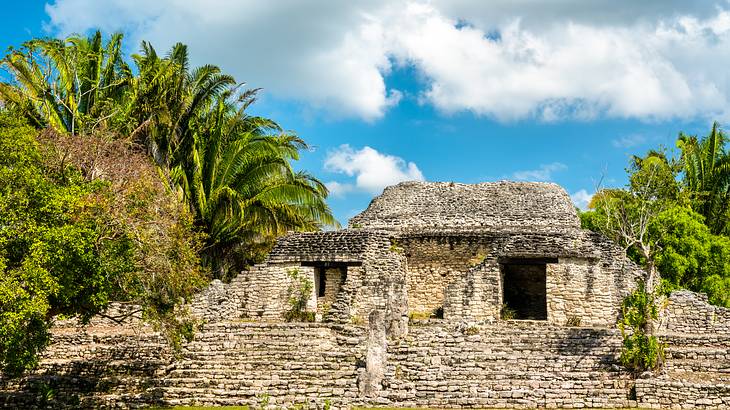Mayan ruins surrounded by trees under a partly cloudy blue sky
