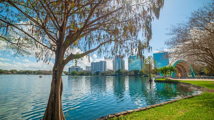 A great date night in Orlando idea is paddling a swan boat around Lake Eola