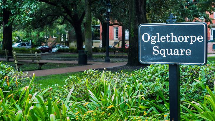 A sign for Oglethorpe Square in a park surrounded by greenery
