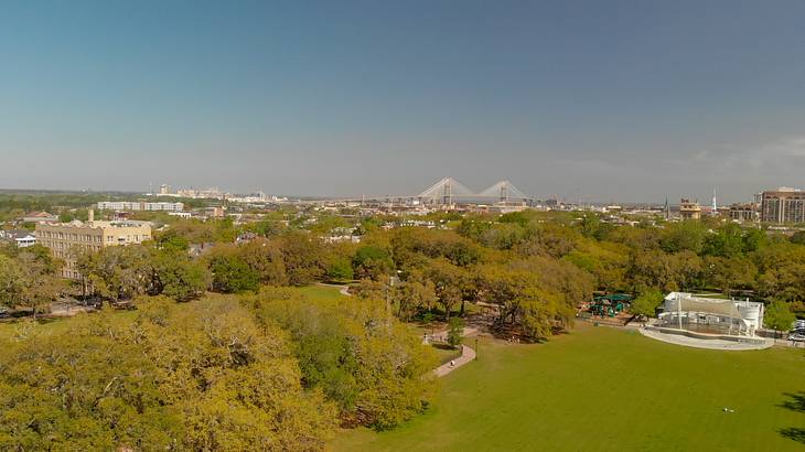 A park with green grass and trees and a cityscape in the distance