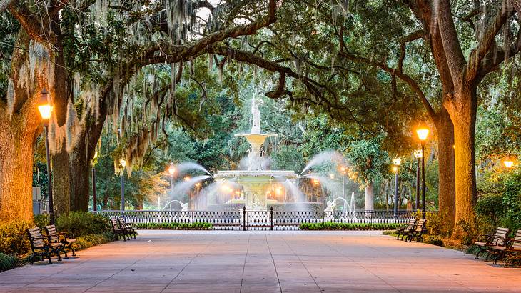 A white water fountain with a tree-lined path in front of it