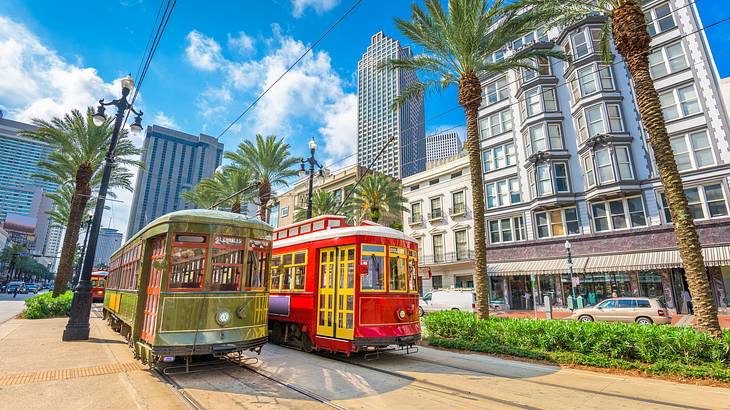 Streetcars on a road with buildings and palm trees surrounding them under a blue sky Streetcars on a road with buildings and palm trees surrounding them under a blue sky
