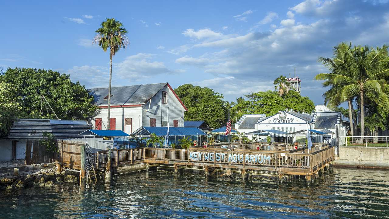 A building and pier with a Key West Aquarium sign on the water with palms surrounding