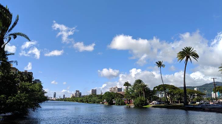 A canal with trees on either side, under a blue sky with some clouds