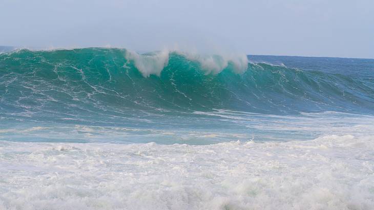 A large wave in the ocean