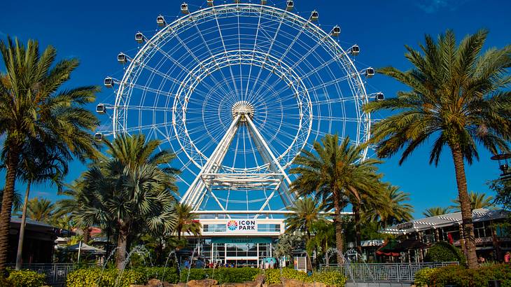 A large Ferris wheel surrounded by palm trees and a blue sky in the backdrop