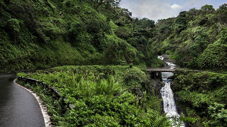 A road curving through lush green forest, with a waterfall under a bridge