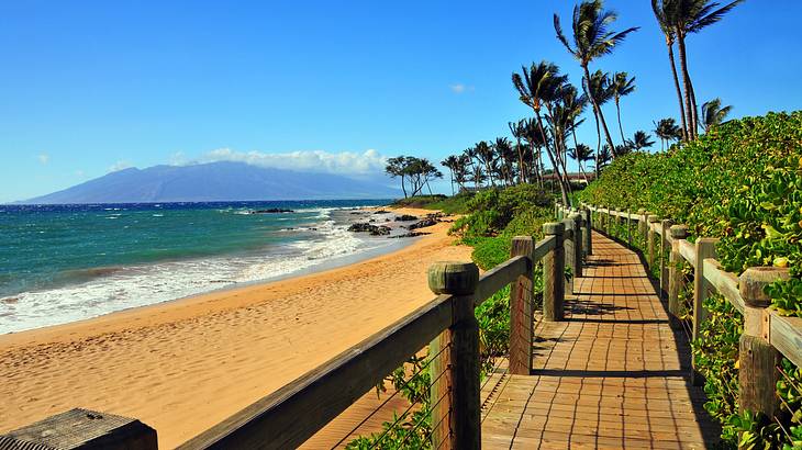 A path beside a beach with sand and ocean on one side and greenery on the other