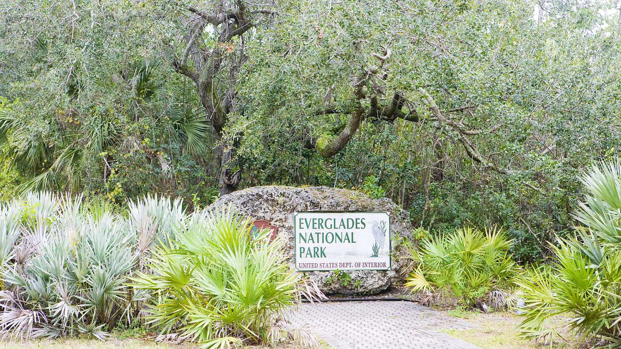 Green trees and plants with a small Everglades National Park sign between them