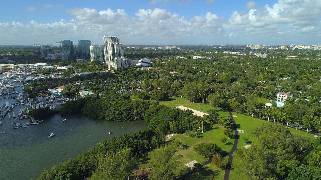 A green park area with a marina to the side and a city in the distance