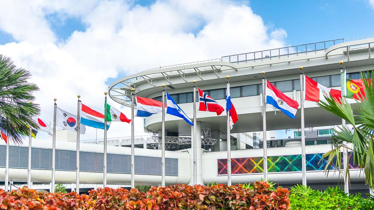 A white airport terminal with flags and palm trees outside
